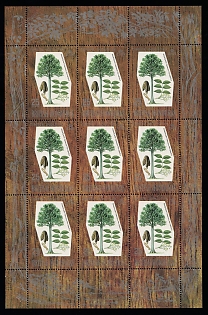 lot