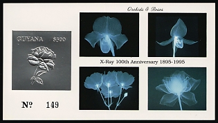 1995 X-Ray 100th Anniversary: Orchids and Roses, Silver Embossed, Co-operative Republic of Guyana, Imperforate Souvenir Sheet