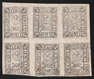 1876 3k Belozersk Zemstvo, Imperforate Block 3x2, Different Types Including 3, 4, 5, 7