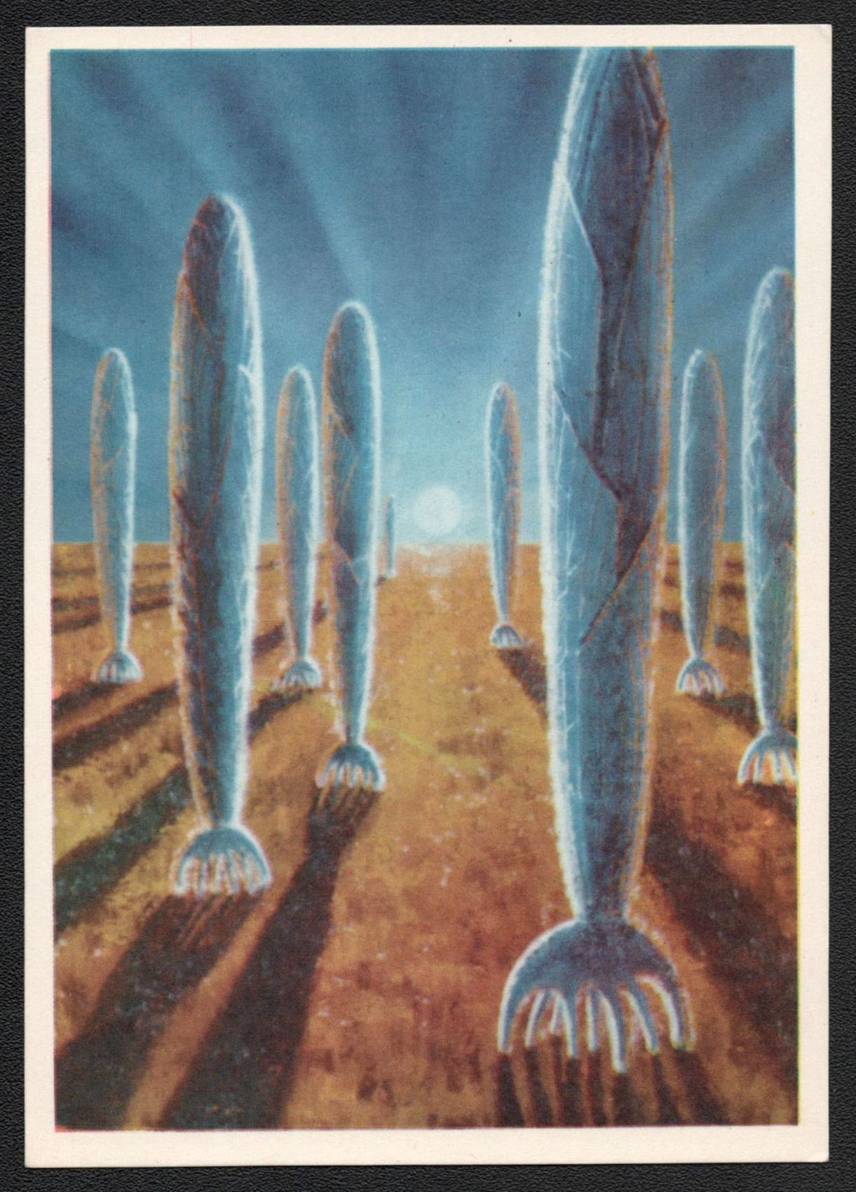 lot