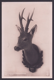 1937 'International Hunting Exhibition Berlin', Third Reich Nazi Propaganda Postcard