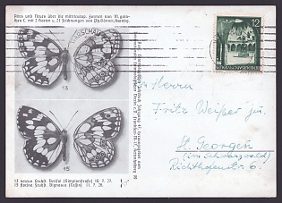 1933-1945 'Butterflies', Third Reich Nazi Propaganda Postcard
