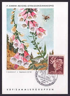 1941 'Kwhw-Reichs Street Collection', Flowers, Third Reich Nazi Propaganda Postcard