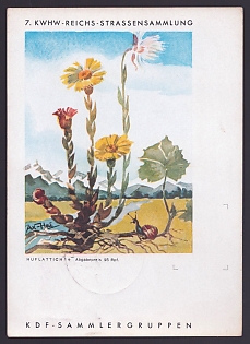 1942 'Kwhw-Reichs Street Collection', Flowers, Third Reich Nazi Propaganda Postcard