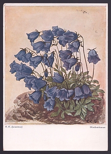 1935 'Bluebells', Flowers, Third Reich Nazi Propaganda Postcard