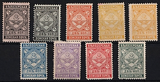 1889 2k Belozersk Zemstvo, Group of Stamps, Different Types