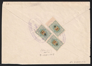 1913 (9 Feb) Ostrov Zemstvo (Pskov Province), Registered cover from district to Ostrov "District Court in Ostrov", franked with a pair and single 3k (Ostrov Zemstvo), canceled by violet oval "ОСТРОВСКАЯ УѢЗДНАЯ/ ЗЕМСКАЯ УПРАВА" (ШГ6) Ostrov zemstvo postmark. Handwritten note "Заказное / Registered" on the front and "Мѣстное / Local" in center. White paper registered label with printed "93" (rare)