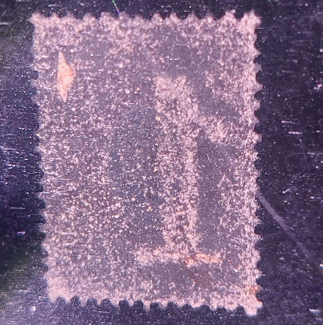 lot