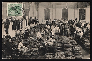 1910 (17 Mar) 'Souvenir of Smyrna. Sorting the Figs' German Offices in Turkey, Germany, Picture Postcard from Smyrna franked with 5c
