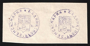 3k Kadnikov Zemstvo, Imperforate Horizontal Pair, Reprint