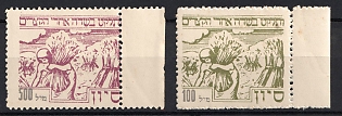Israel (Judaica), Jewish National Fund, Margins, Cinderellas