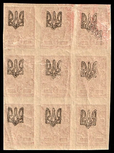 1918 3k Odessa (Odesa) Type 1, Ukrainian Tridents, Ukraine, Block 3x3, OFFSET of Overprints