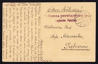 1917 (7 Mar) Polish Legion in Austro-Hungarian Army, Picture Field Post Postcard from Plock to Dabrowa, Purple Postmark of the Supply Column of the Polish Legions