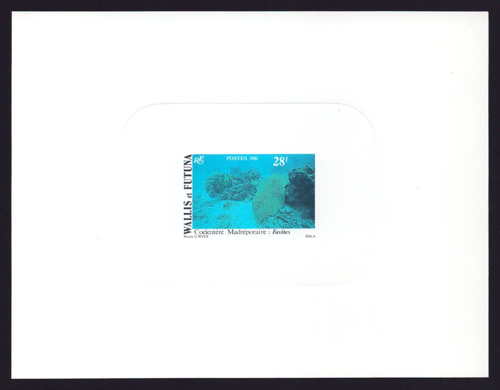 lot