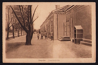 1917 (2 Feb) Polish Legion in Austro-Hungarian Army, Picture Field Post Postcard from a Polish Soldier to Przemyśl, Austrian Royal and Imperial Field Post Postmark 378, Faint Purple Postmark of the Chancery of the 4th Infantry Regiment of the Polish Legions
