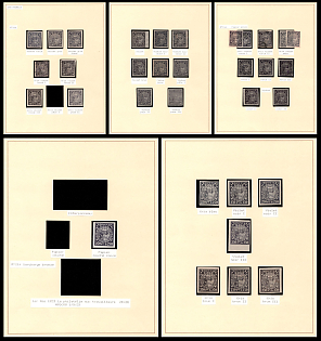 1921 250r RSFSR, Russia, Group of Varieties and Shades