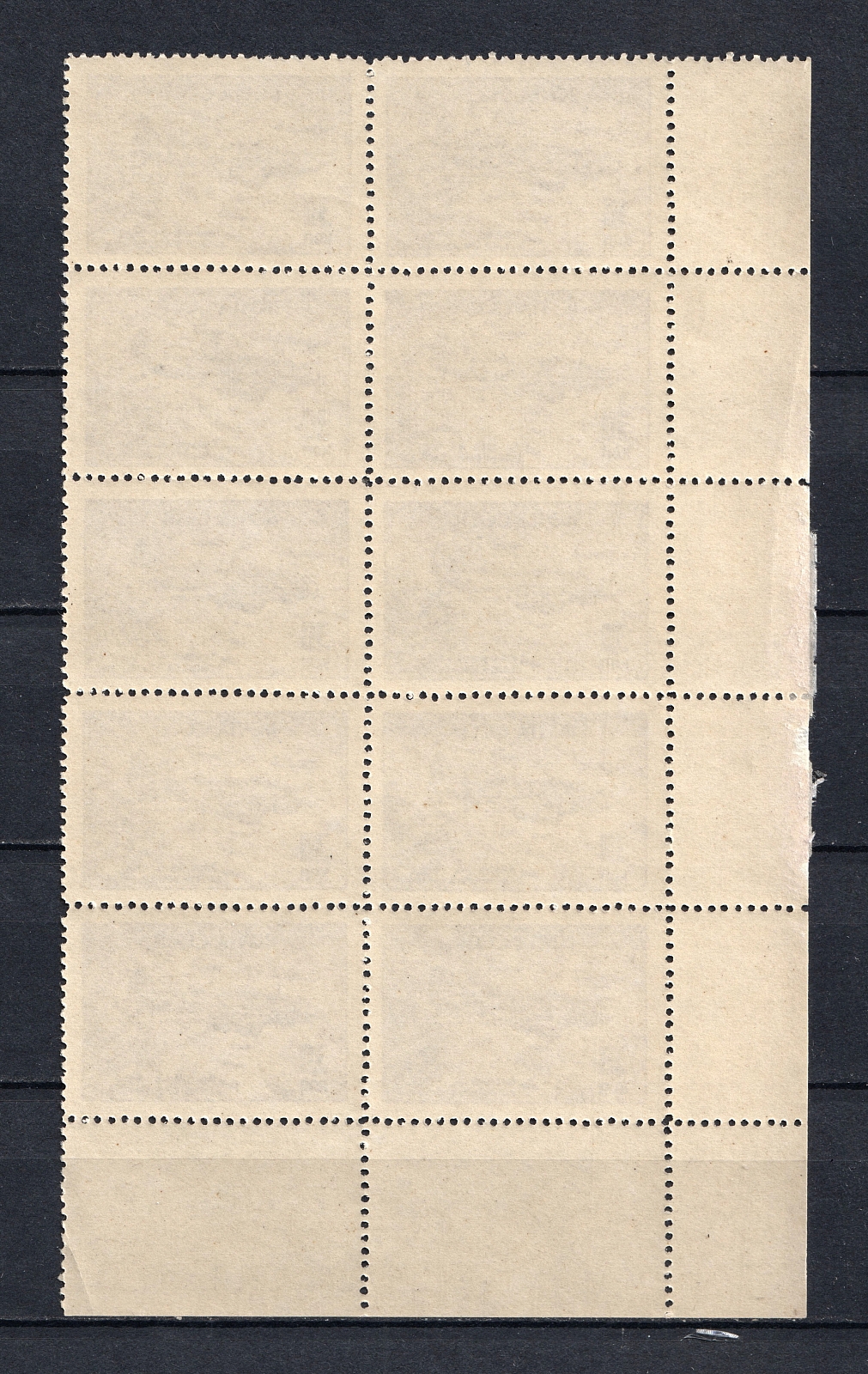 lot