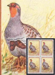 lot