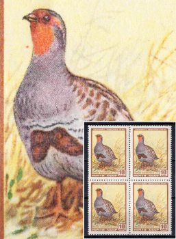 lot