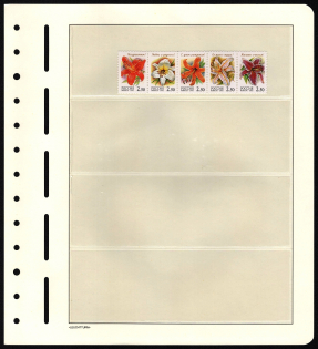 lot