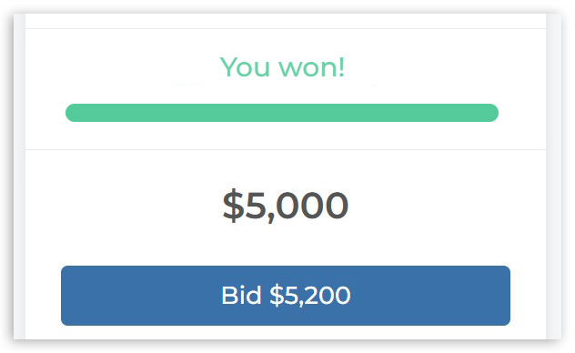 bid10.jpg