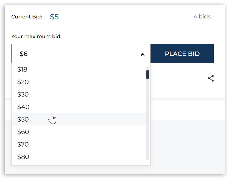 bid2.jpg