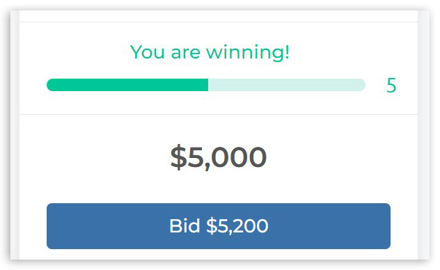 bid8.jpg