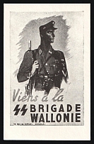 Wallonia Walloon Legion, Nuremberg Rally, Nazi Germany, Third Reich Propaganda, Postcard, Extremely Rare, Mint