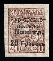 1920 20hrn on 20sh Ukraine, Courier-Field Mail (Kr. 7, Type I, CV $80)
