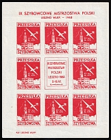 1963 IX Polish Gliding Championships, Glider Mail, Poland, Non-Postal, Cinderella, Souvenir Sheet (MNH)